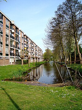 Flats aan de Rutgersstraat