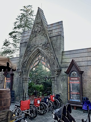 <span class="mw-page-title-main">Hagrid's Magical Creatures Motorbike Adventure</span> Roller coaster at Islands of Adventure