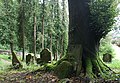 Jüdischer Friedhof Jüdischer Friedhof