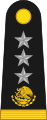 General de división[20] (Mexican Army)