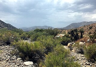 <span class="mw-page-title-main">Morongo Valley, California</span> Census-designated place in California, United States