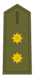 Teniente Coronel