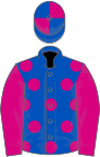 Royal blue, cerise spots and sleeves, quartered cap