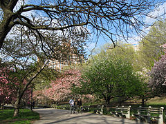 Riverside Park 01.jpg