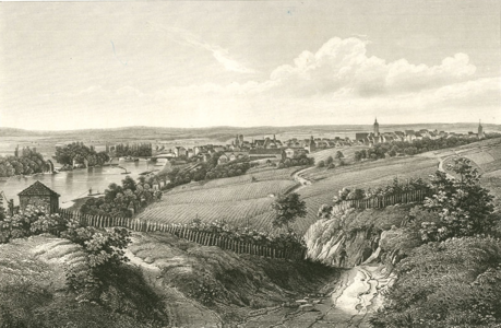 Weinbau am Kiliansberg, oberhalb des Mains, im Jahre 1847