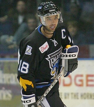 <span class="mw-page-title-main">Shane Willis</span> Canadian ice hockey player (born 1977)