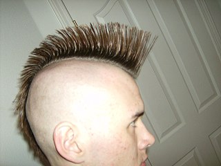 <span class="mw-page-title-main">Mohawk hairstyle</span> Hairstyle