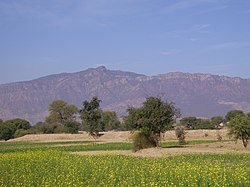 Pothwar scenery with hill backdrop Tilla Jogian.jpg