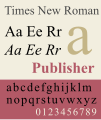 Times New Roman