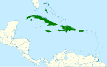 Tyrannus caudifasciatus map.svg