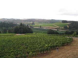 <span class="mw-page-title-main">Willamette Valley AVA</span> Wine region in Oregon, United States