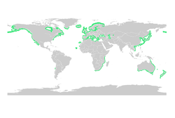 Distribución de todas las especies del género.