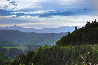 <span class="mw-page-title-main">Dilijan National Park</span> National park in Armenia