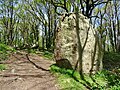 Plovan : l'"armoire de Saint-Kodelig" (en fait un menhir) ; à l'arrière-plan la roche dite "lit de Saint-Kodelig").