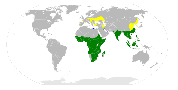 Flave: reprodukta areo; verde: vintrejoj