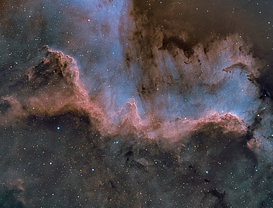 Cygnus-Wall