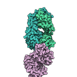 <span class="mw-page-title-main">Daratumumab</span> Monoclonal antibody