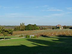 Vignoble de Eyrans, au nord.