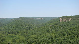 Appalachian mixed mesophytic forests Temperate broadleaf and mixed forests ecoregion of the United States