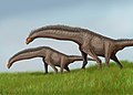 Isisaurus_DB.jpg