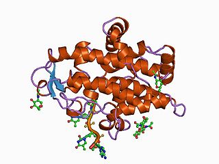 <span class="mw-page-title-main">Nuclease S1</span> Class of enzymes