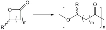 Synthèse de PHA à partir de lactones