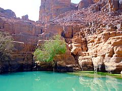 Vue de la guelta de Tikoubaouine dans le Tassili n'Ajjer.