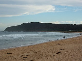 <span class="mw-page-title-main">Shelly Beach, Central Coast New South Wales</span> Suburb of Central Coast, New South Wales, Australia