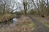 Stanborough Reedmarsh