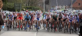 Het peloton tijdens de E3 Prijs Vlaanderen 2008