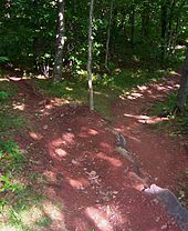 A waterbar in New York's Catskill Mountains. The trail forks right; the drainage ditch is to the left. Waterbar.jpg