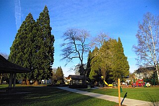 <span class="mw-page-title-main">Bagley Park</span>