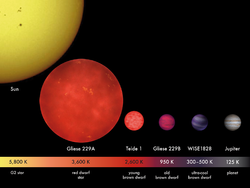 Uppskattade storlekar i förhållande till planeten Jupiter för de bruna dvärgarna WISE 1828+2650, Gliese 229B och Teide 1. Solen och den röda dvärgen Gliese 229A finns också med som jämförelse.