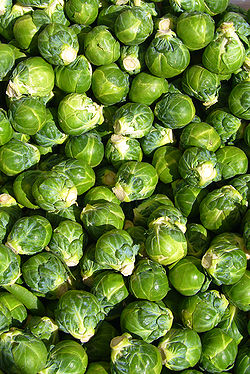 Brassica oleracea convar. oleracea var. gemmifera