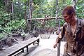 Piste au Centre d'entraînement en forêt équatoriale du 3e Régiment étranger d'infanterie (Guyane - France).