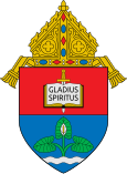 Coat of arms of the Archdiocese of Nueva Segovia