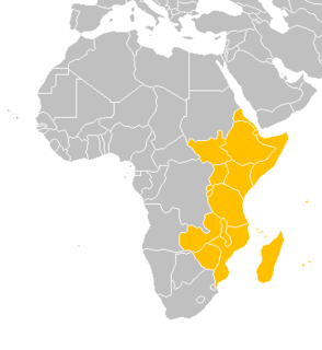 East Africa Eastern region of the African continent