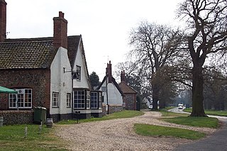 <span class="mw-page-title-main">Euston, Suffolk</span> Human settlement in England