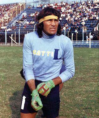 <span class="mw-page-title-main">Hugo Gatti</span> Argentine footballer