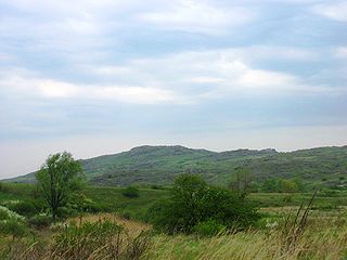 <span class="mw-page-title-main">Wild Fields</span> Historical term for the Pontic Steppe