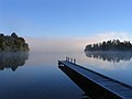 Image 27Lake Mapourika, New Zealand (from Nature)