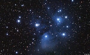 M45 атны жюрютген кечет