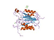 PDB 1qtn EBI.jpg