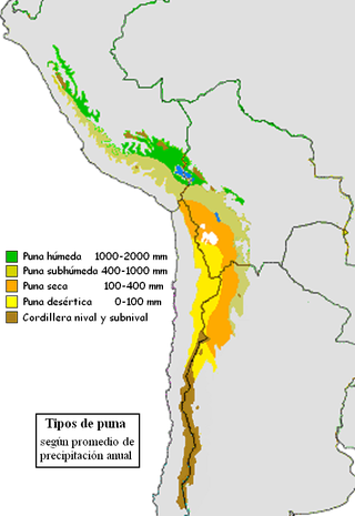 <span class="mw-page-title-main">Puna grassland</span> Type of grassland in the central part of the high Andes