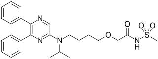 <span class="mw-page-title-main">Selexipag</span> Chemical compound