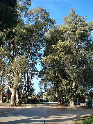 <span class="mw-page-title-main">Shangrilá</span> Resort of Ciudad de la Costa in Canelones Department, Uruguay