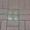 Stolpersteine Petershagen Mindener Straße 20