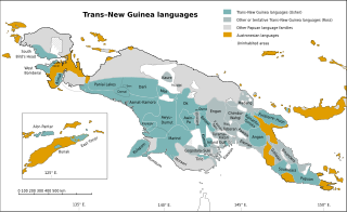 <span class="mw-page-title-main">Trans–New Guinea languages</span> Large Papuan language family