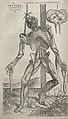 Image 15Vesalius's intricately detailed drawings of human dissections in Fabrica helped to overturn the medical theories of Galen. (from Scientific Revolution)