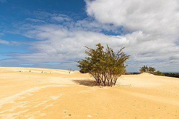 Wilsons Promontory National Park, Victoria, Australia